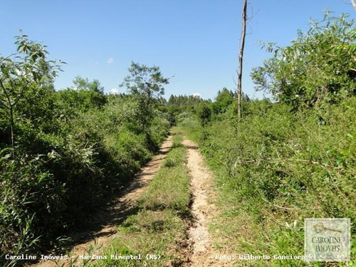 Imagem 13 de 15 de Área Rural Para Venda Em Mariana Pimentel, Linha Preta - Mariana Pimentel - 1148_1-731320