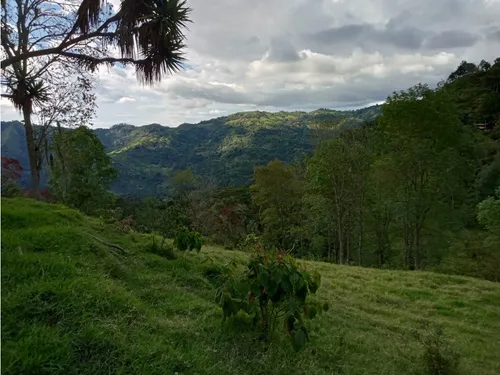 Vendo Finca Reventones Anolaima
