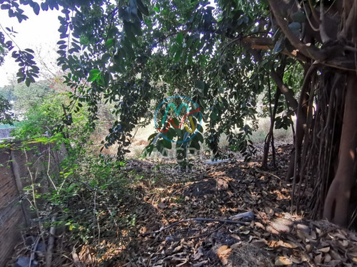 Terreno En Venta En Oaxtepec Centro