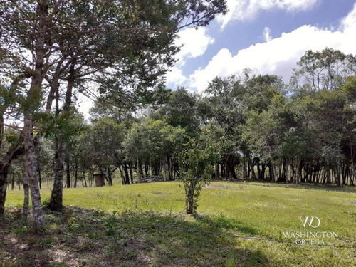 Imagem 2 de 21 de Chácara À Venda, 8500 M² Por R$ 260.000,00 - Zona Rural - São José Dos Pinhais/pr - Ch0060