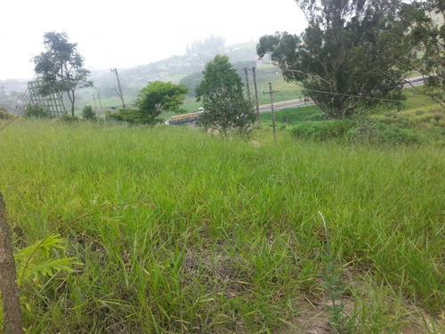 Imagem 1 de 5 de Terreno Para Venda - Parque Santo Antonio, Jacareí - 1192m² - 1681