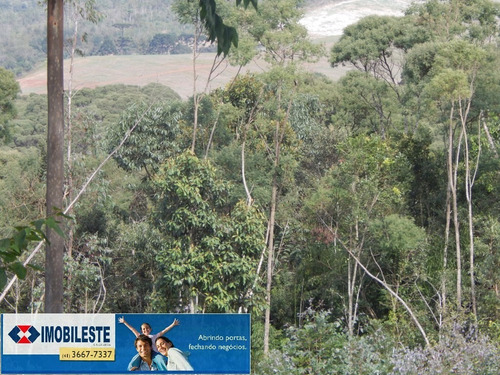Imagem 7 de 12 de Área Para Venda - 10330.1860