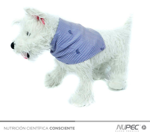 Imagen 2 de 4 de Ropa Para Perro Paliacate Ameba Azul Extra Grande (xl)