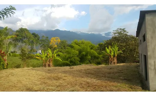 Venta De Lote Calarca