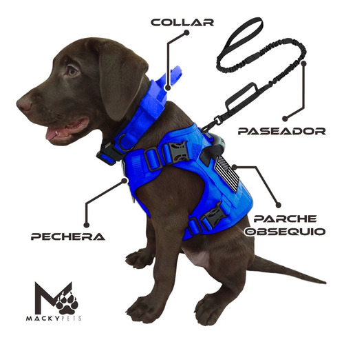 Imagen 2 de 8 de Pecheras Para Perros Pequeños. Combos De 3 Piezas