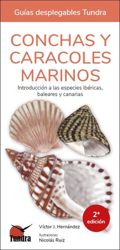 Conchas Y Caracoles Marinos Introduccion Especies Ibericas -