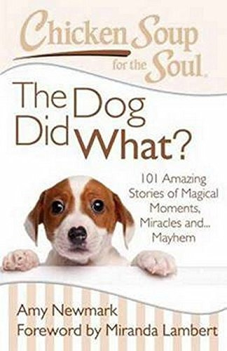 Chicken Soup For The Soul The Dog Did Whatr 101 Amazing Stor