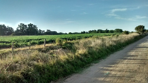 Imagen 1 de 9 de Campo En Gral. Madariaga