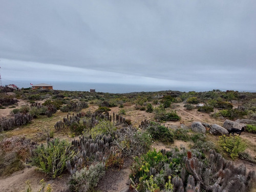 Imagen 8 de 11 de Terreno El Arrayan La Serena, Km 492