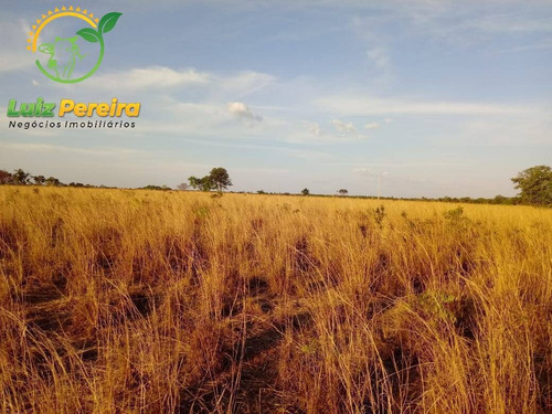 Imagem 5 de 11 de Fazenda À Venda Em Peixe - To - 1.390 Hectares (dupla Aptidão) - 1634