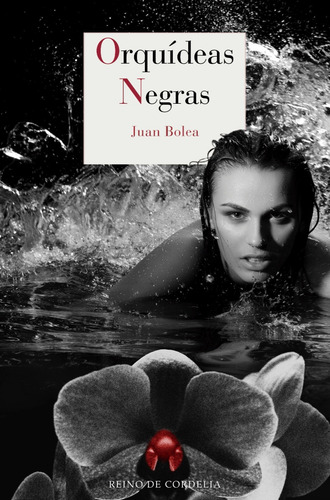 Orquídeas Negras - Novela Policíaca, Juan Bolea