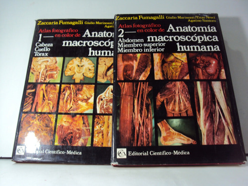 Anatomia Macroscopica Humana Zaccaria Fummagalli  2 Tomos 