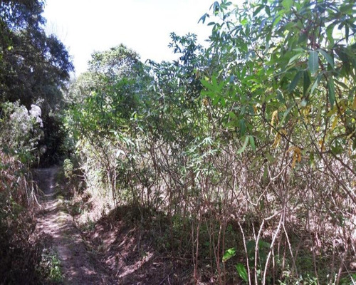 Imagem 3 de 18 de Terreno Em Santa Cândida - 200 - 34209886