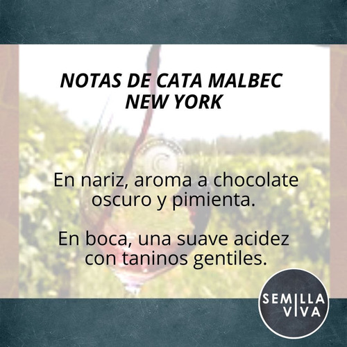 Imagen 3 de 10 de Vino Orgánico Malbec Familia Cecchin X 750 Ml - New York