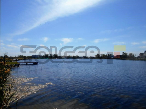 Imagen 4 de 6 de Terreno En Venta En Barbarita