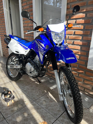 Imagen 10 de 15 de Yamaha Xtz 250 2020