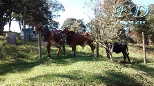 Imagem 13 de 29 de Sítios À Venda Em Nazare Paulista/sp - Compre O Seu Sítios Aqui! - 1322572
