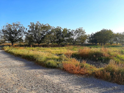 Terreno En Venta En Club De Golf Los Azulejos