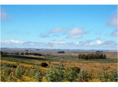 Imagen 2 de 13 de Campo En Venta En Uruguay, Treinta Y Tres, Oportunidad!!!- Ref: 25013