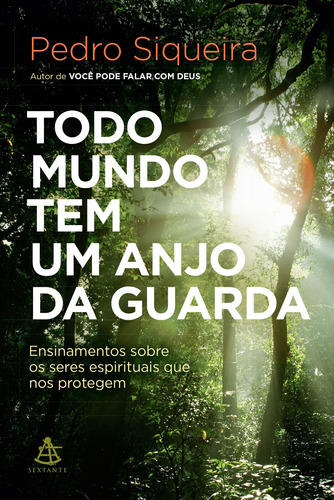 Todo Mundo Tem Um Anjo Da Guarda: Ensinamentos Sobre Os Seres Espirituais Que Nos Protegem, De Siqueira, Pedro. Editora Gmt Editores Ltda., Capa Mole Em Português, 2019