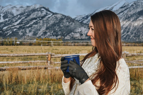 Isotoner Women's Spandex Shortie Touchscreen Gloves Large Ab