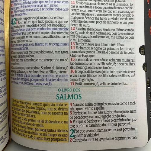 Bíblia Sagrada Letra Jumbo Com Harpa E Corinhos Índice Lateral Capa Leão Rei