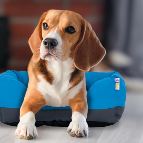 Cama Rectangular Para Perro En Azul Y Gris