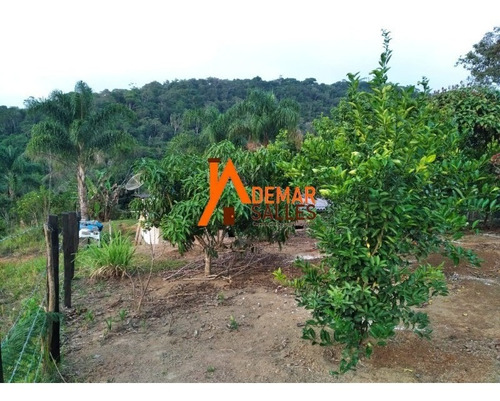 Chacara - Ch00061 - 68105190