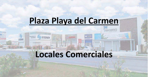 Local Comercial En Renta En Playa Del Carmen Quintana Roo. L