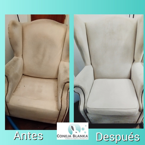 Imagen 3 de 5 de Limpieza Alfombras Sillones Colchones