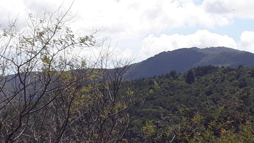 Imagem 8 de 9 de Terreno Em Córrego Grande, Florianópolis/sc De 507m² À Venda Por R$ 370.000,00 - Te412346-s
