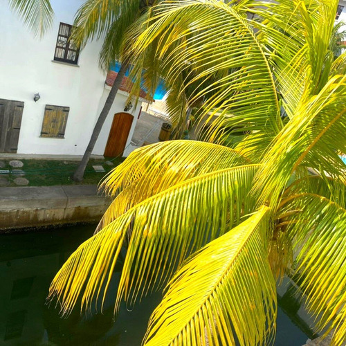 Imagen 17 de 20 de Pueblo Viejo, Complejo Turistico El Morro, Lecheria | Alquiler Apto | 58 Mts2 | 1h | 1.5b | 1pe | 120$ Por Dia