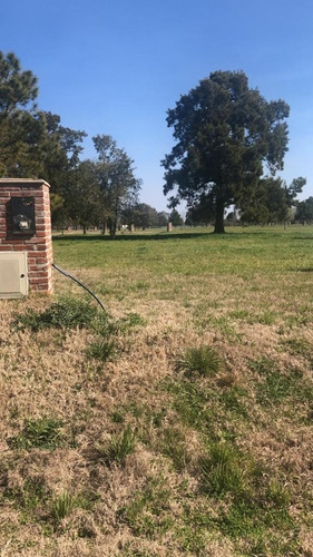 Imagen 3 de 4 de Lote En Venta En Mirabosque Los Cardales, Exaltación De La Cruz, G.b.a. Zona Norte