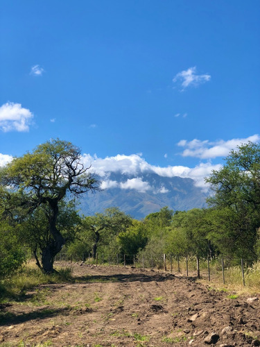 Imagen 23 de 24 de Lotes Con Escritura Desde 1556 M2 A 2365 M2 / Villa De Las Rosas - Traslasierra