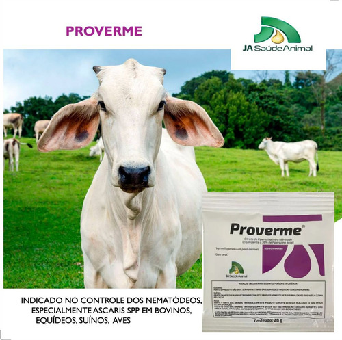 Cavalo Gordo Vermífugo Proverme 28g