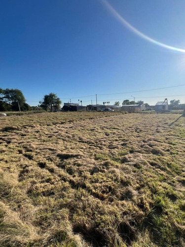 Terreno En Torrella E/ La Plata Y Moore - Macachín