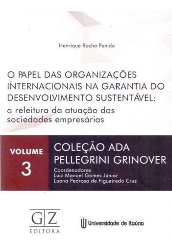 Papel Das Organizações Internacionais Na Garantia Do Desenvolvimento Sustentável, O