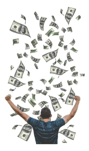 Negocios Rentables. Tienda Online En Estados Unidos
