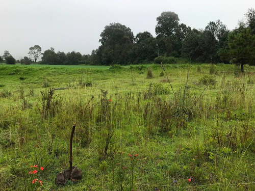 Imagen 1 de 5 de Terreno Para Día De Campo