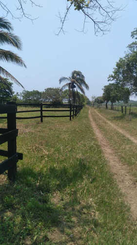 Venta De Terreno 1 H En Playa Zapote Ver. Para Inversionistas