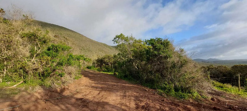 5.000 M2, Linda Cabaña, Cercano A Los Vilos (65230)