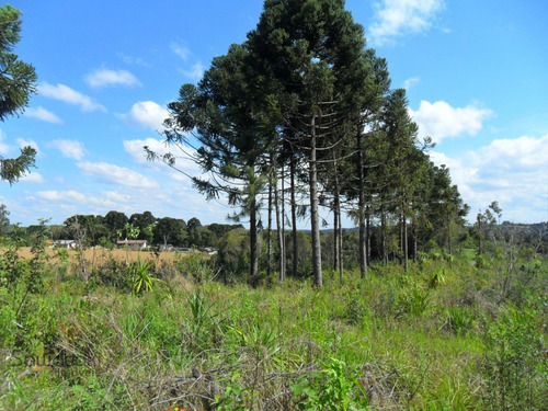 Terreno A Venda No Bairro Centro Em Mandirituba - Pr. - 5702-1