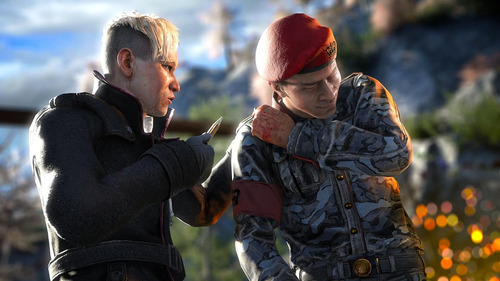 Far Cry 4 Ps4 Media Física