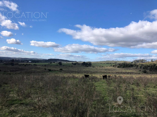 Campo En Venta - Lcs2636351
