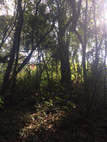 Imagem 6 de 13 de Terreno 1.300m² - Rio De Una - Ibiúna-sp - Tr211127v