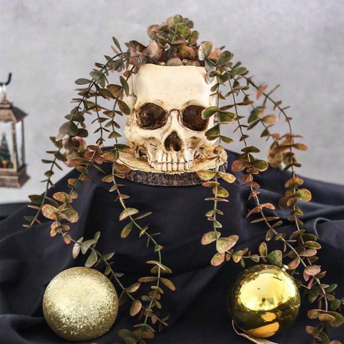 Maceta De Calavera Maceta De Halloween Jarrón De Calavera Re