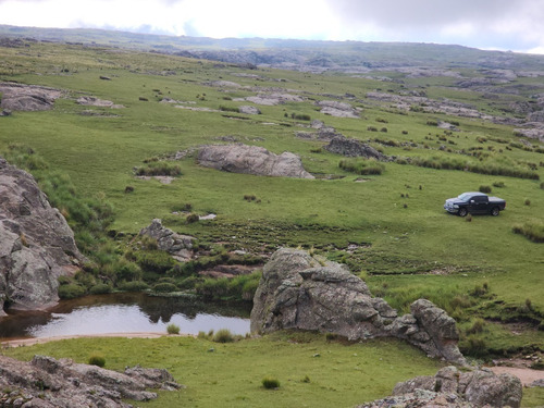 Imagen 13 de 30 de Se Vende Espectacular Fraccion De 70 Hectareas Con Agua, Pastizal, Vistas Unicas, Red 4g Personal En Los Gigantes