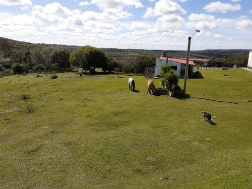 Campo Financiado
