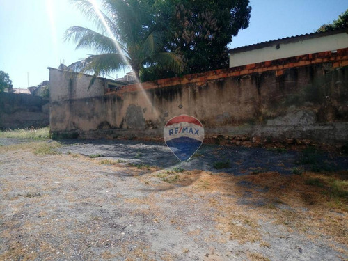 Terreno - Venda - Quilombo - Te0130