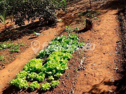 Imagem 8 de 12 de Rural Chacara Com 3 Quartos - 335-v